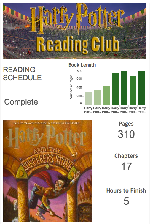 Marketing graphic_Harry Potter vis